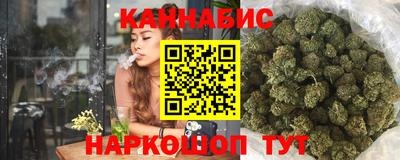 прущие грибы Заводоуковск