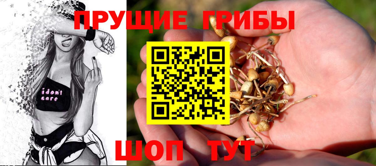 Псилоцибиновые грибы Psilocybine cubensis  Вход с VPN  Кушва 